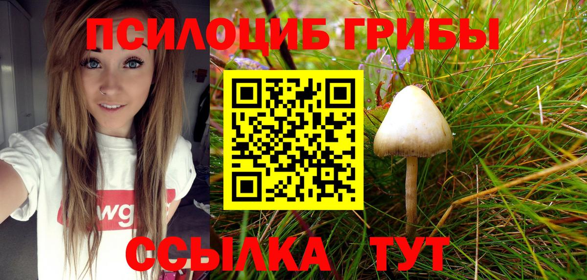Псилоцибиновые грибы Magic Shrooms  купить закладку  Вход с VPN  Междуреченск  Галлюциногенные грибы прущие грибы 